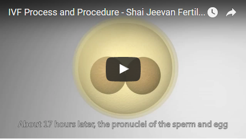 IVF Process and Procedure